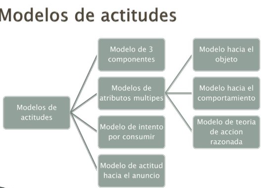 CONFERENCIA-LOS MODELOS DE ACTITUD ANTE LA PUBLICIDAD.TEMA V.Por Franklin Onésimo Tavárez Sánchez