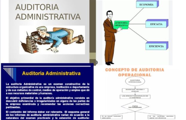 Unidad 1. Introducción a la auditoría operativa y administrativa.Conferencia‑Podcast del Profesor Franklin Onésimo Tavárez Sánchez, MAE – MAM