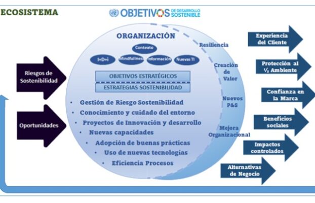 SOSTENIBILIDAD Y GESTIÓN DE RIESGOS.Gestión de suministros. Unidad 7. Conferencia magistral de Franklin Onésimo Tavárez Sánchez