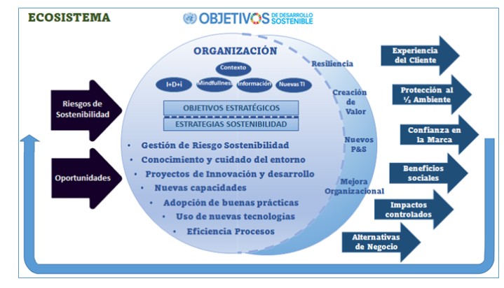 SOSTENIBILIDAD Y GESTIÓN DE RIESGOS.Gestión de suministros. Unidad 7. Conferencia magistral de Franklin Onésimo Tavárez Sánchez